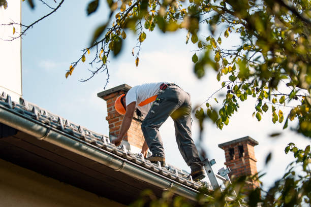 Best Storm Damage Roof Repair  in Plains, TX