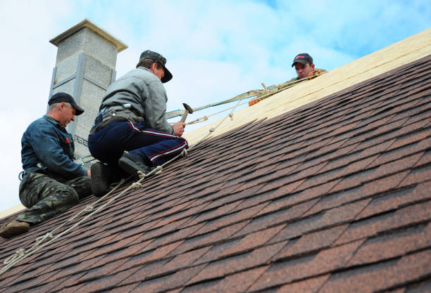 Best Storm Damage Roof Repair  in Plains, TX